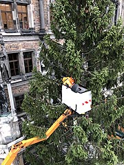 Blick von oben auf die Christbaum-Schmückenden  Mitarbeiter des städtischen Baureferats (©Foto: Martin Schmitz)